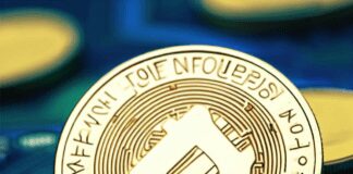 Unlocking the World of NFTs and Forex Trading: From Art to Entertainment and Financial Markets NFT Tokens
